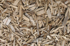biomass boilers Peckleton